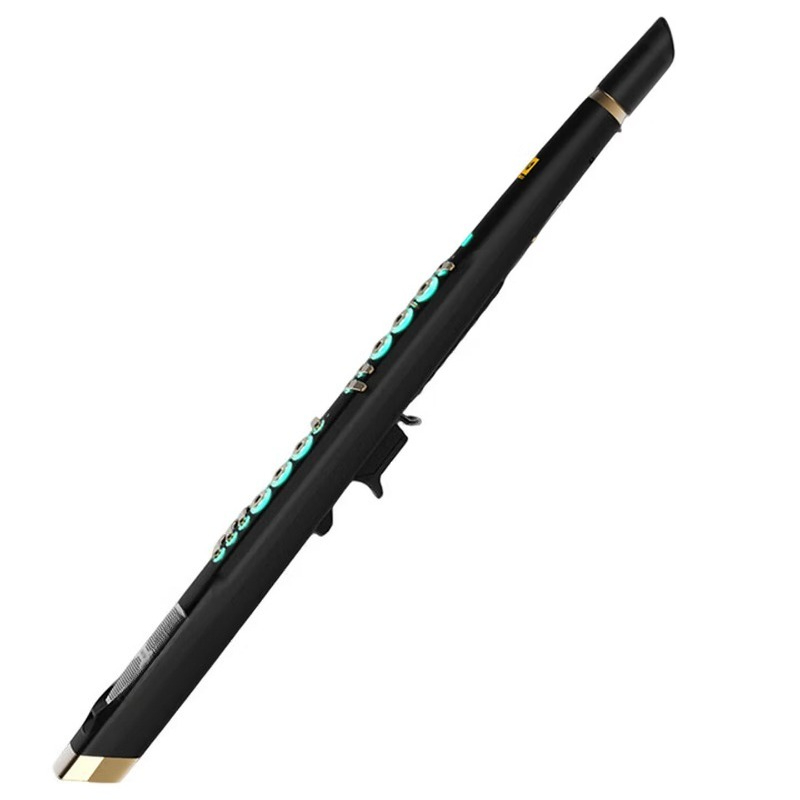 Musical Instrument That You Blow Into - C20 True-Sampling-Instrument für den Heimgebrauch, hochwertiges