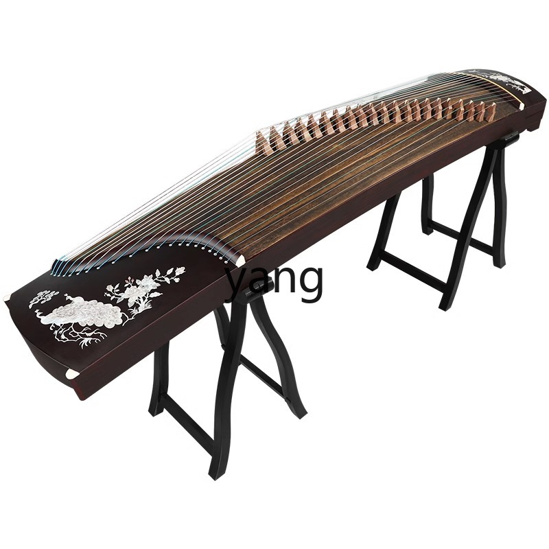Musical Instrument Names - LT-Test Einsteigermodell 10 für professionelle Erwachsenenunterricht,