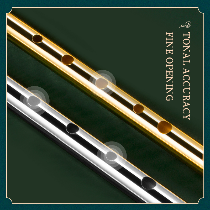 Irische Pfeifenflöte für Musik – Penny Whistle D Bewertung und Preis