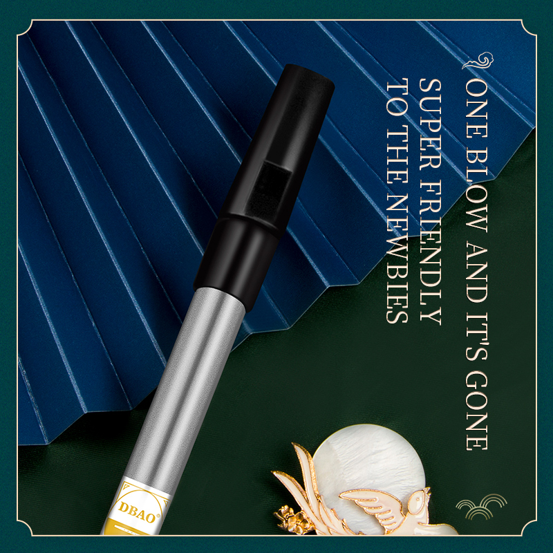 Irische Pfeifenflöte für Musik – Penny Whistle D Bewertung und Preis