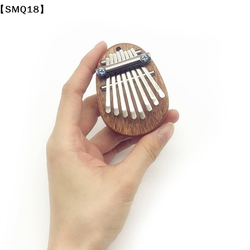 Mini Kalimba 8 Tasten Daumenkl – Musical Instrument Names Bewertung und Preis