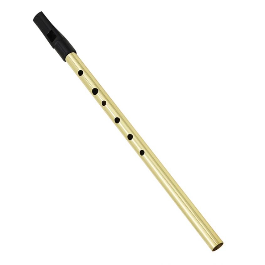 Irish Pfeife Sopran Flöte D To – Penny Whistle D Bewertung und Preis