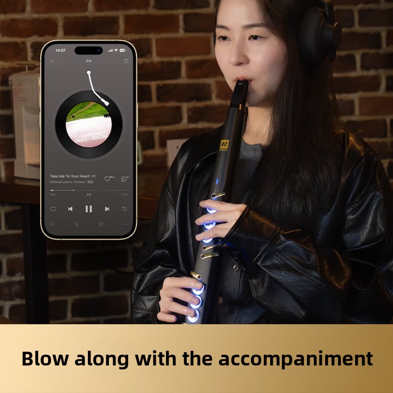 C20 True-Sampling-Instrument f – Musical Instrument That You Blow Into Bewertung und Preis