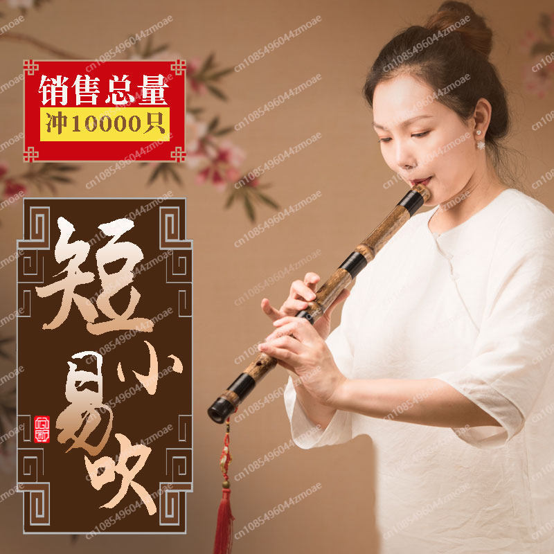 Professionelle Spielflöte aus  – Musical Instrument That You Blow Into Bewertung und Preis