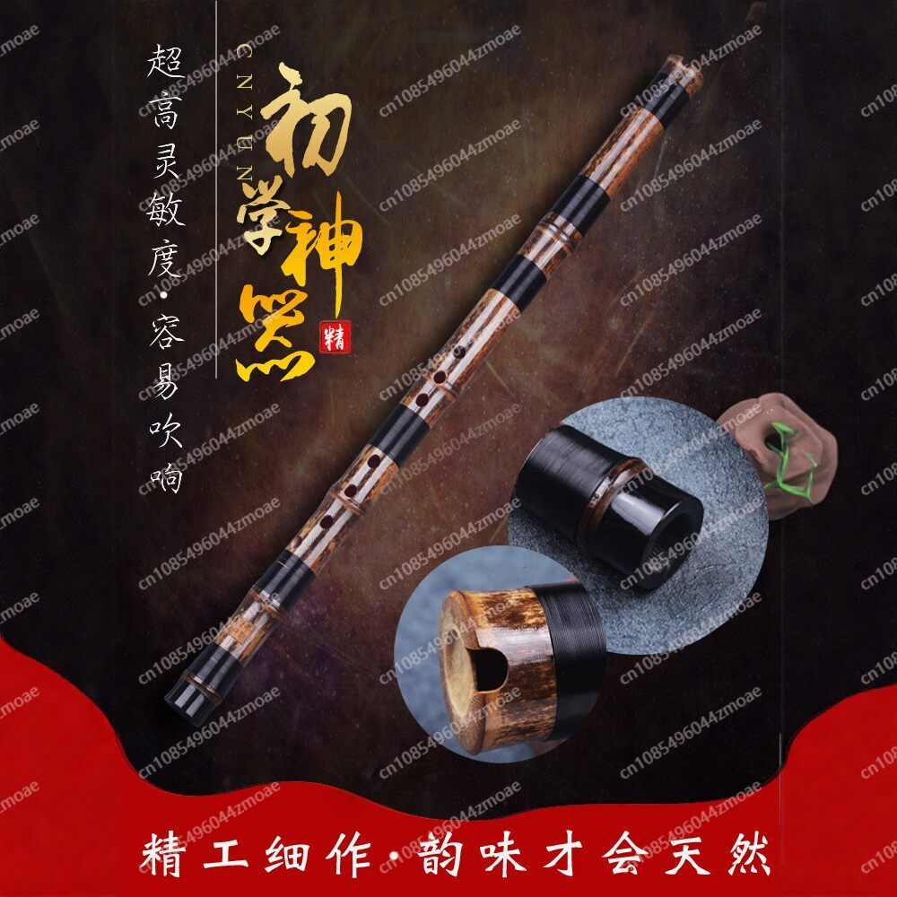 Professionelle Spielflöte aus  – Musical Instrument That You Blow Into Bewertung und Preis