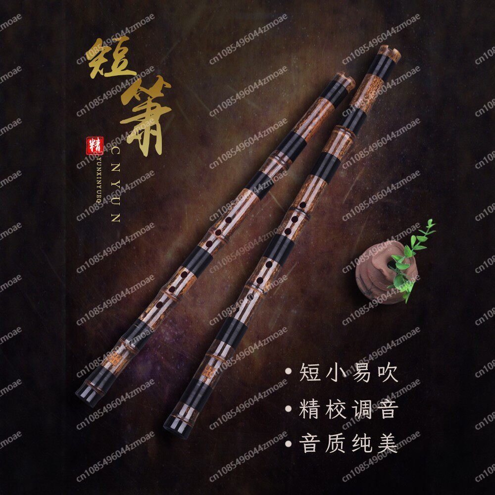 Professionelle Spielflöte aus  – Musical Instrument That You Blow Into Bewertung und Preis