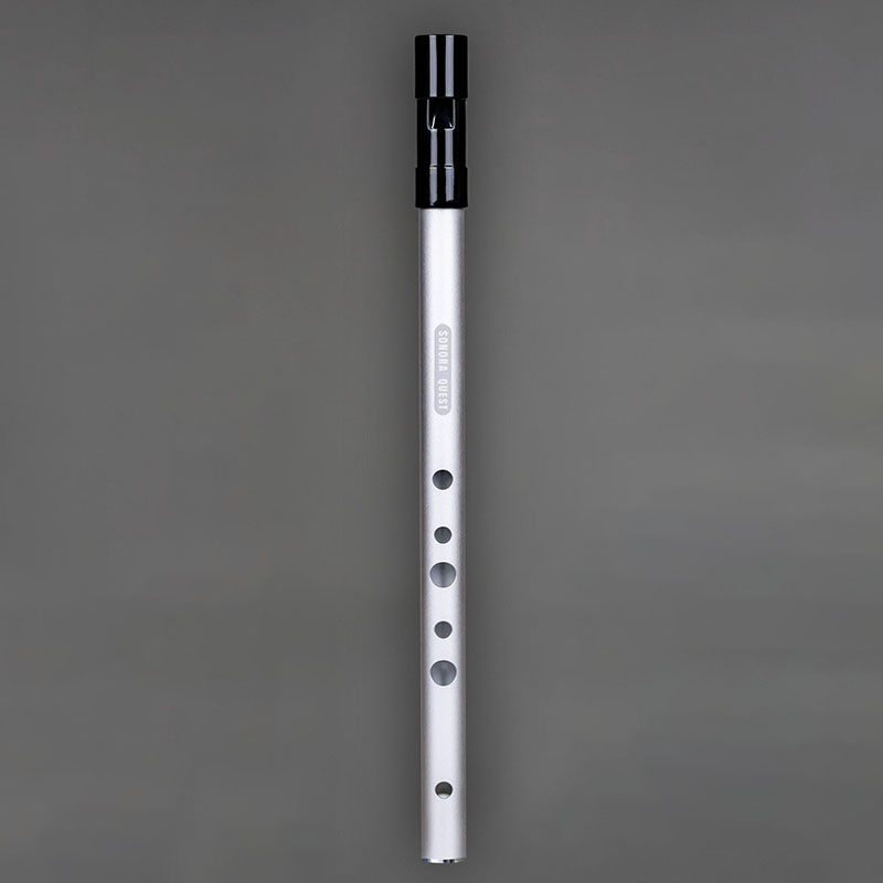 D-Tonart 6-Loch Blechpfeife au – Penny Whistle D Bewertung und Preis