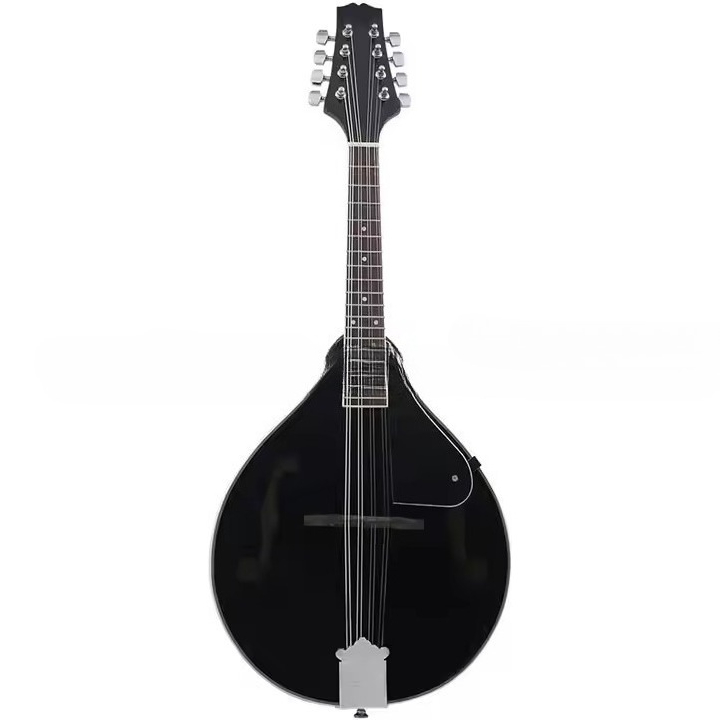 Tibetisches Ethnisches Musikin – Musical Instrument Mandolin Bewertung und Preis