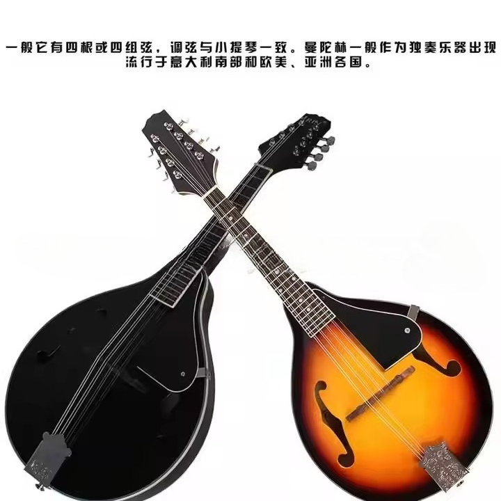 Tibetisches Ethnisches Musikin – Musical Instrument Mandolin Bewertung und Preis