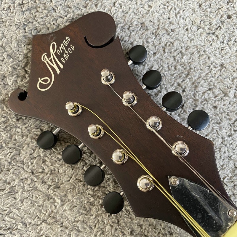 K595 Morgan Monroe Vollholz-Ma – Musical Instrument Mandolin Bewertung und Preis