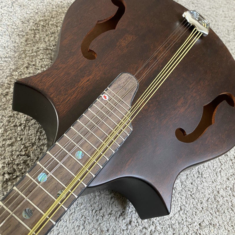 K595 Morgan Monroe Vollholz-Ma – Musical Instrument Mandolin Bewertung und Preis