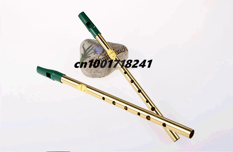 Irische Pfeife aus Messing, Fe – Penny Whistle D Bewertung und Preis
