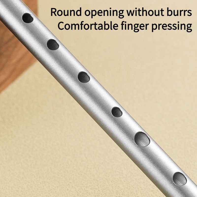 C/D Schlüssel Blechpfeife für  – Penny Whistle D Bewertung und Preis