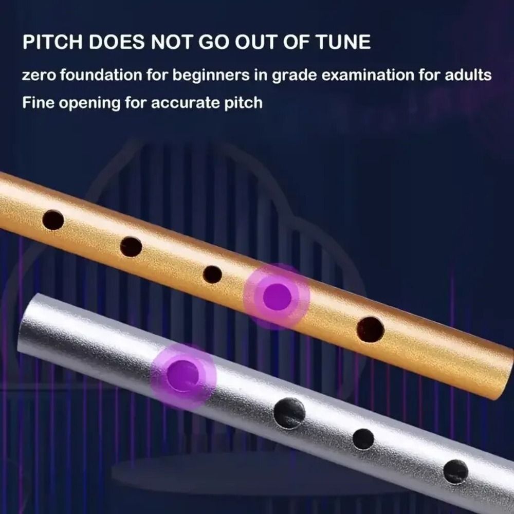 C/D-Schlüssel Irische Tin Whis – Musical Instrument Irish Bewertung und Preis