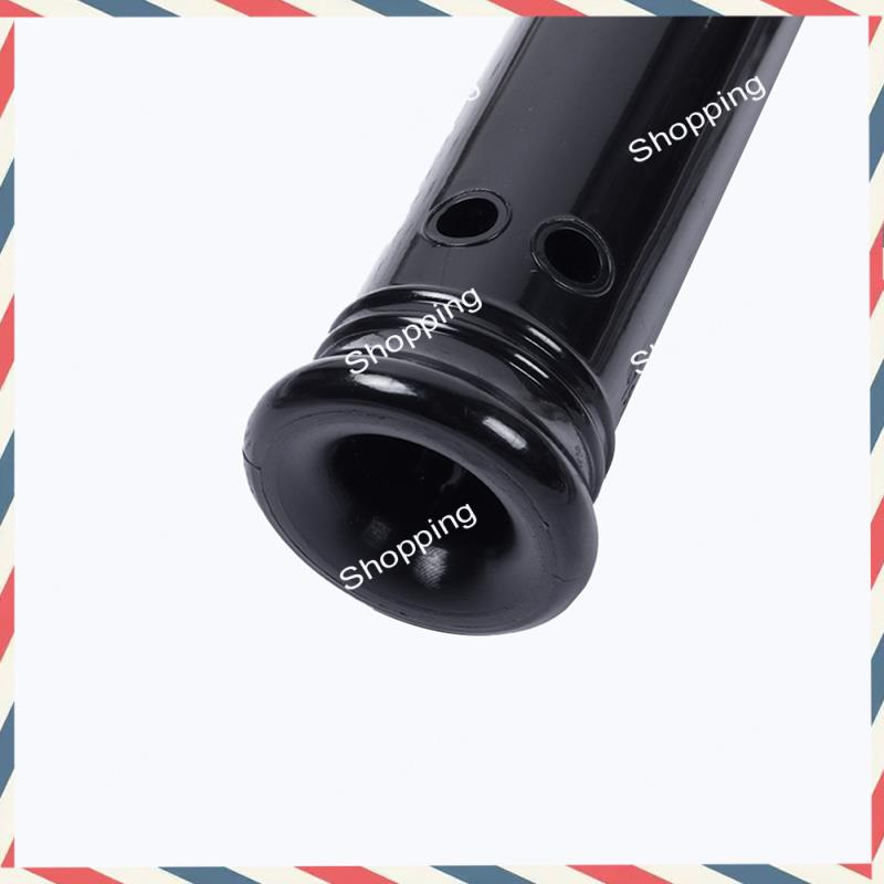 A44M 6-Loch irische Zinn-Penny – Penny Whistle D Bewertung und Preis