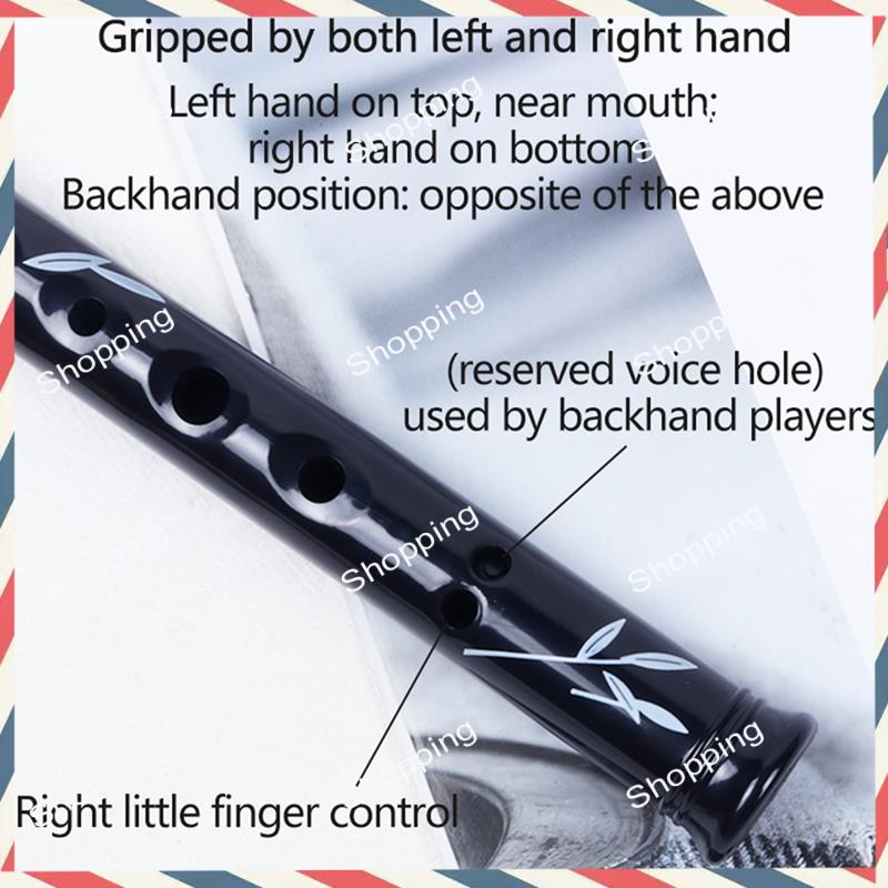 A44M 6-Loch irische Zinn-Penny – Penny Whistle D Bewertung und Preis