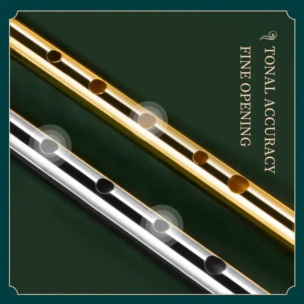 6-Loch C/D Irish Whistle Flöte – Musical Instrument Irish Bewertung und Preis