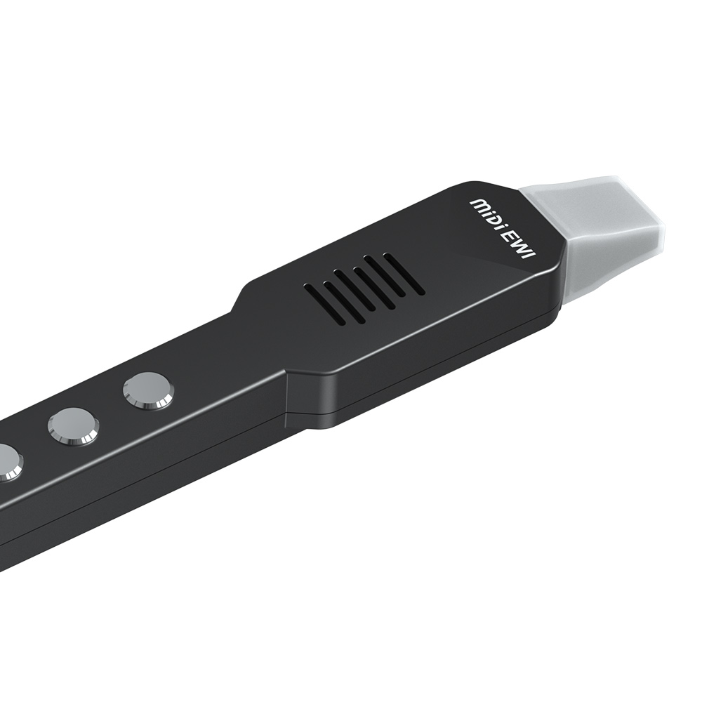 Kleine Querflöte, elektronisch – Musical Instrument Irish Bewertung und Preis