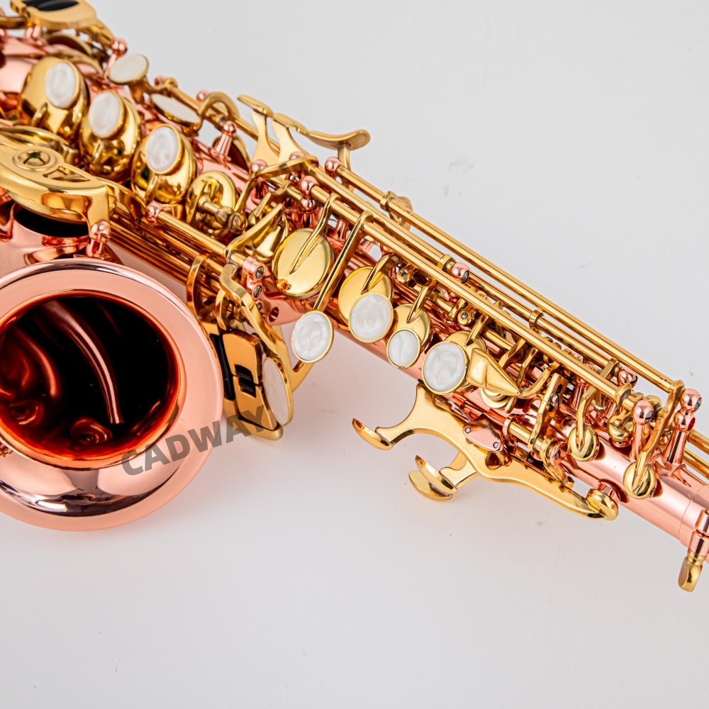 Japanisches Saxophon Sopran B- – Musical Instrument Japan Bewertung und Preis