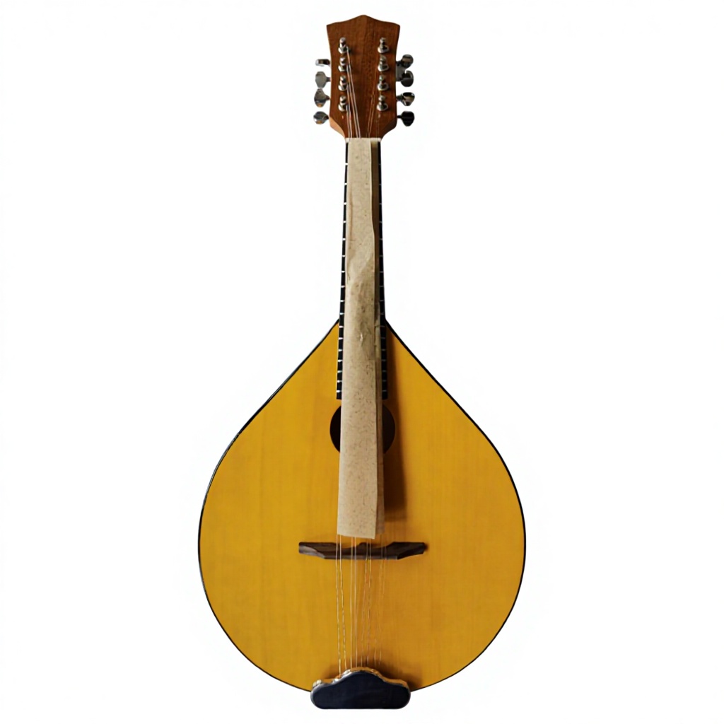8-Saitiges Akustik-Banjo, Bass – Musical Instrument Mandolin Bewertung und Preis